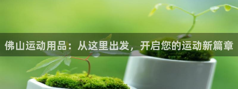 678体育官网下载平台是正规平台吗:佛山运动用品:从这里出发