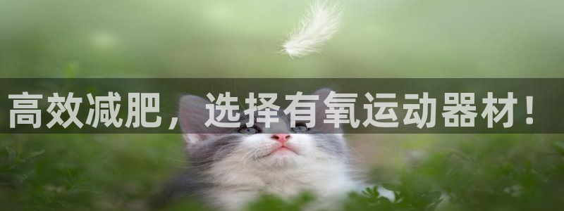 678体育官网下载平台:高效减肥,选择有氧运动器材!