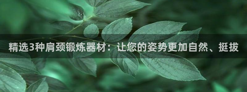 678体育官方正版app娱乐:精选3种肩颈锻炼器材:让您的姿